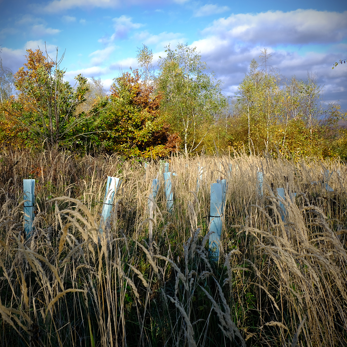 vogelsberg 09 Photography Dreams | nature photographs - Vogelsberg - Hessen